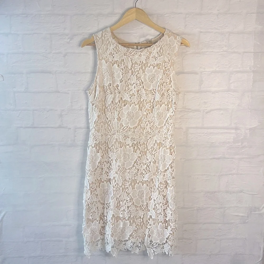 Loft Floral Cream Sleeveless Lace Shift Dress Size 8 Cream and Beige Lace